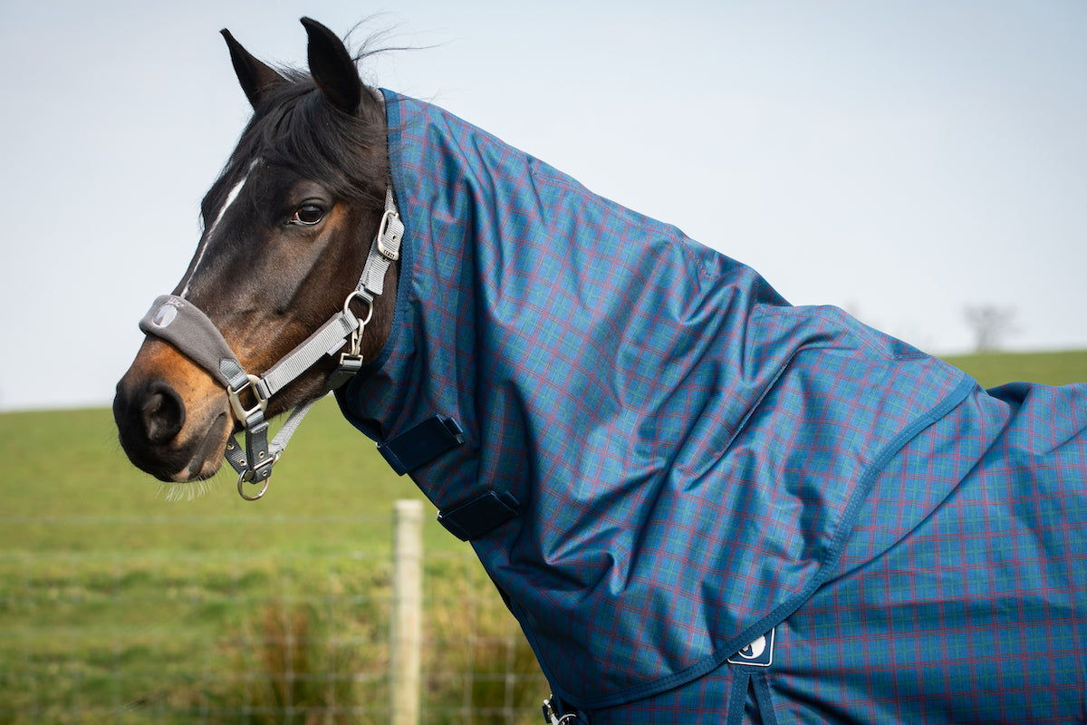 Epic Classic 100g Turnout Hood - Regular Fit