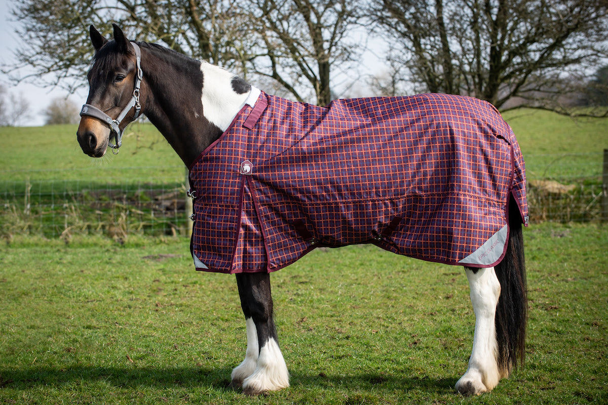 Epic Classic 200g Turnout Rug - Regular Fit