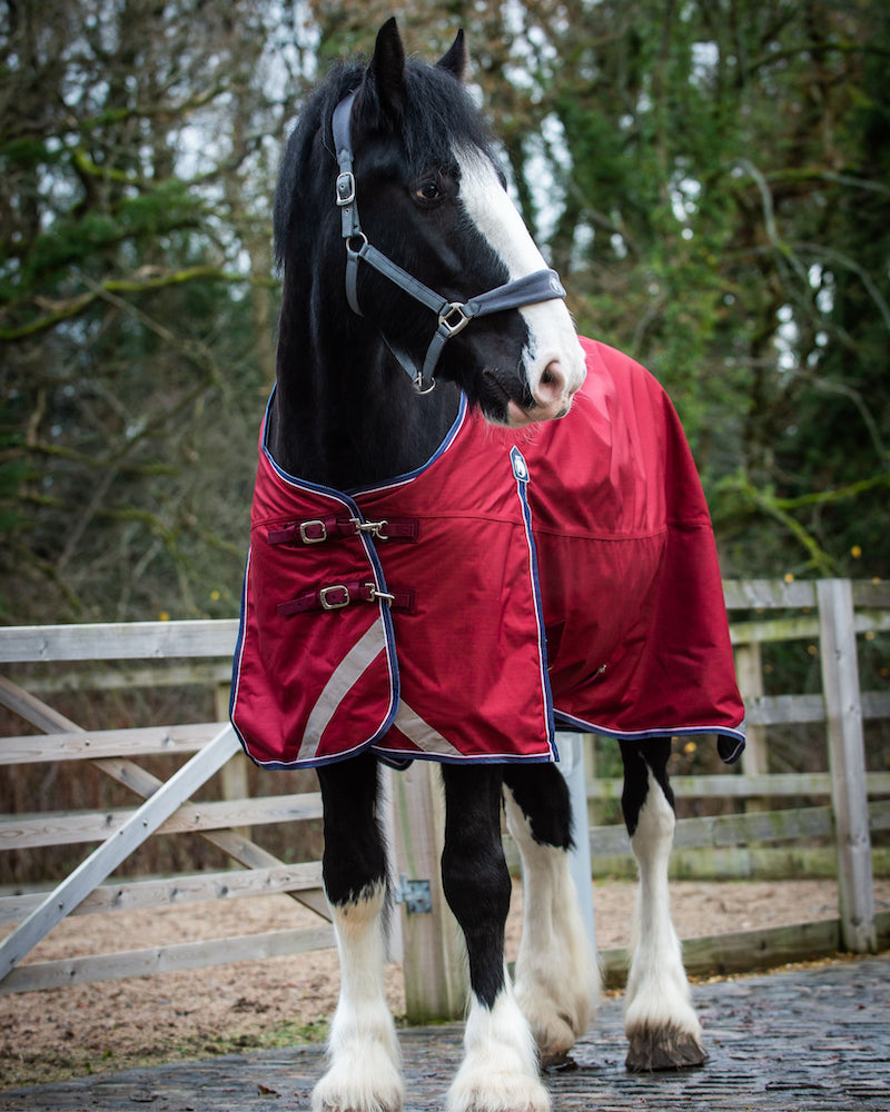 Epic Essential 100g Turnout Rug - Broad Fit