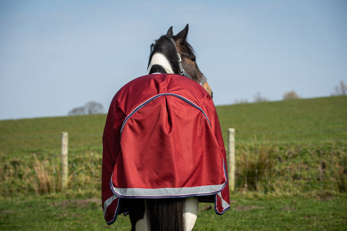 Epic Essential 100g Turnout Rug - Regular Fit