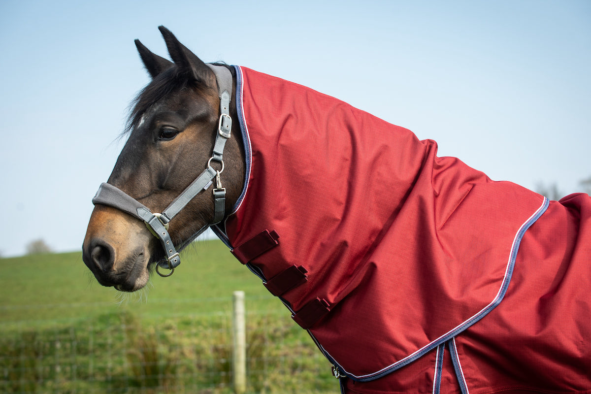 Epic Essential 100g Turnout Hood - Regular Fit