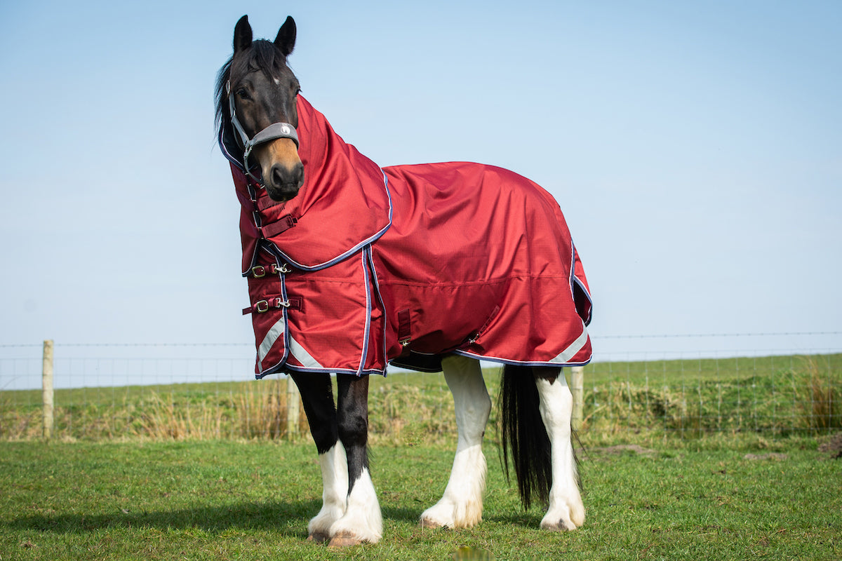 Epic Essential 100g Turnout Hood - Regular Fit