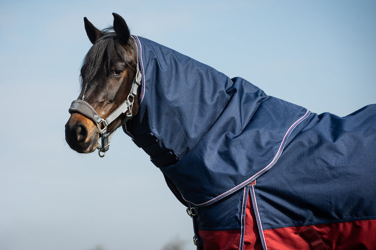 Epic Essential 200g Turnout Hood - Regular Fit