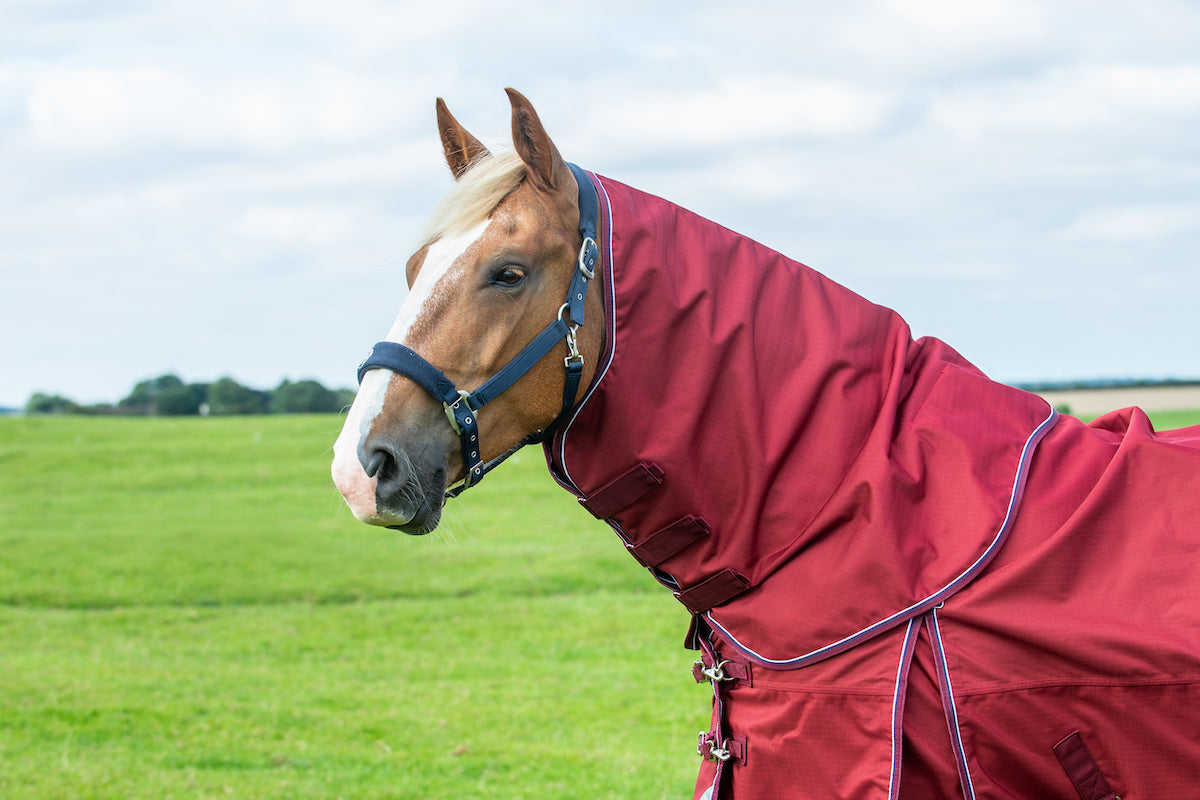 Epic Essential No Fill Turnout Hood  -  Regular Fit