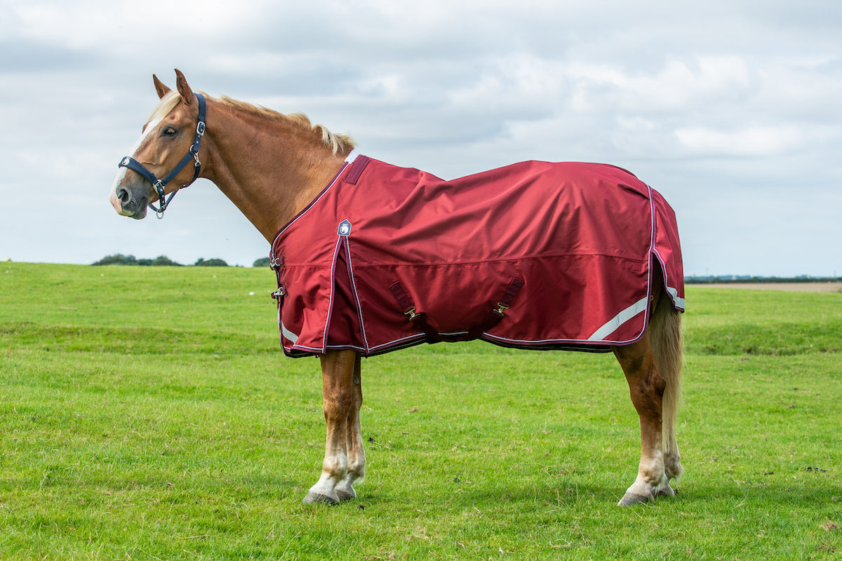 Epic Essential 40g Turnout Rug  -  Broad Fit