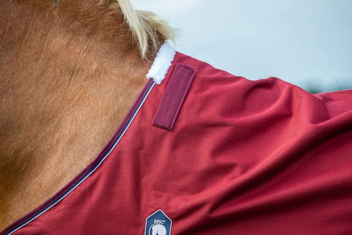 Epic Essential 40g Turnout Rug - Regular Fit