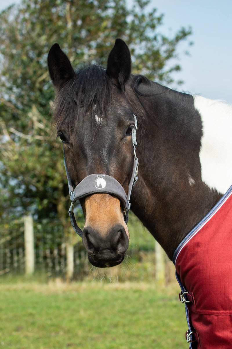 Epic Classic Adjustable Fleece Head Collar