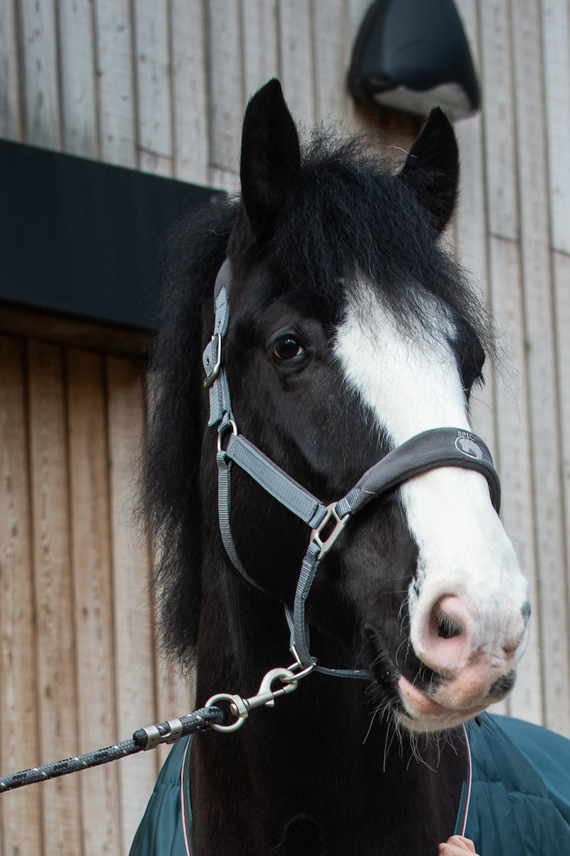 Epic Classic Adjustable Fleece Head Collar & Leadrope