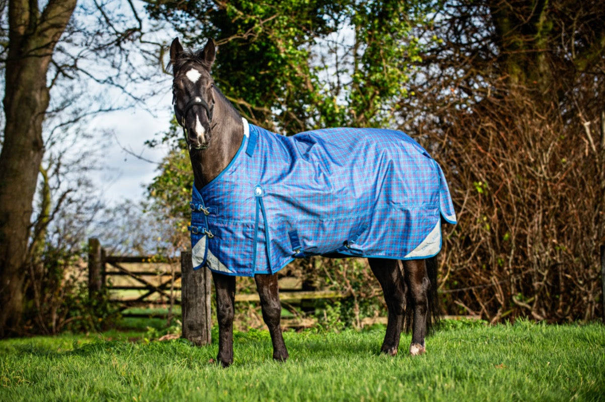 Epic Classic 200g Turnout Rug - Regular Fit