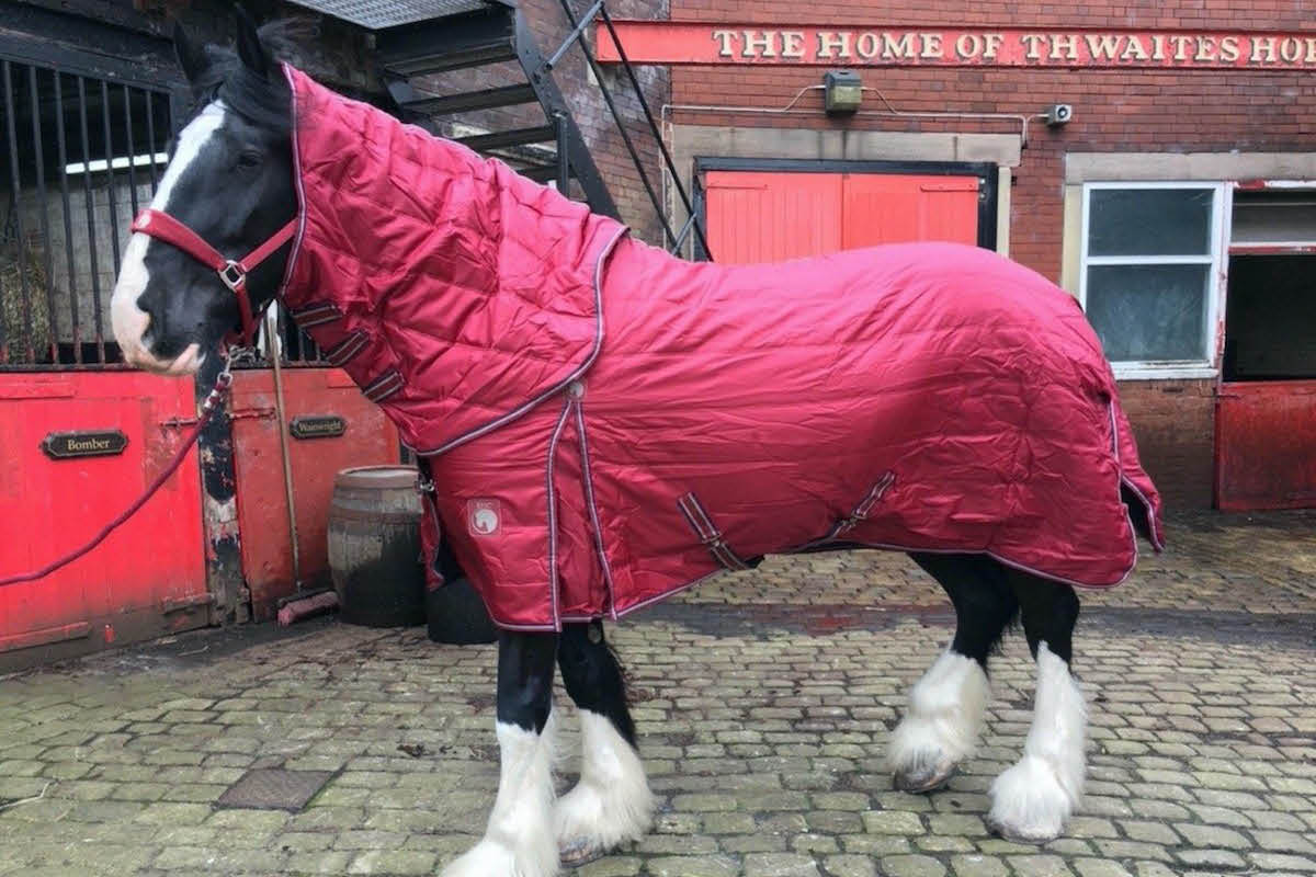 Epic Classic 250g Stable Hood - Broad Fit