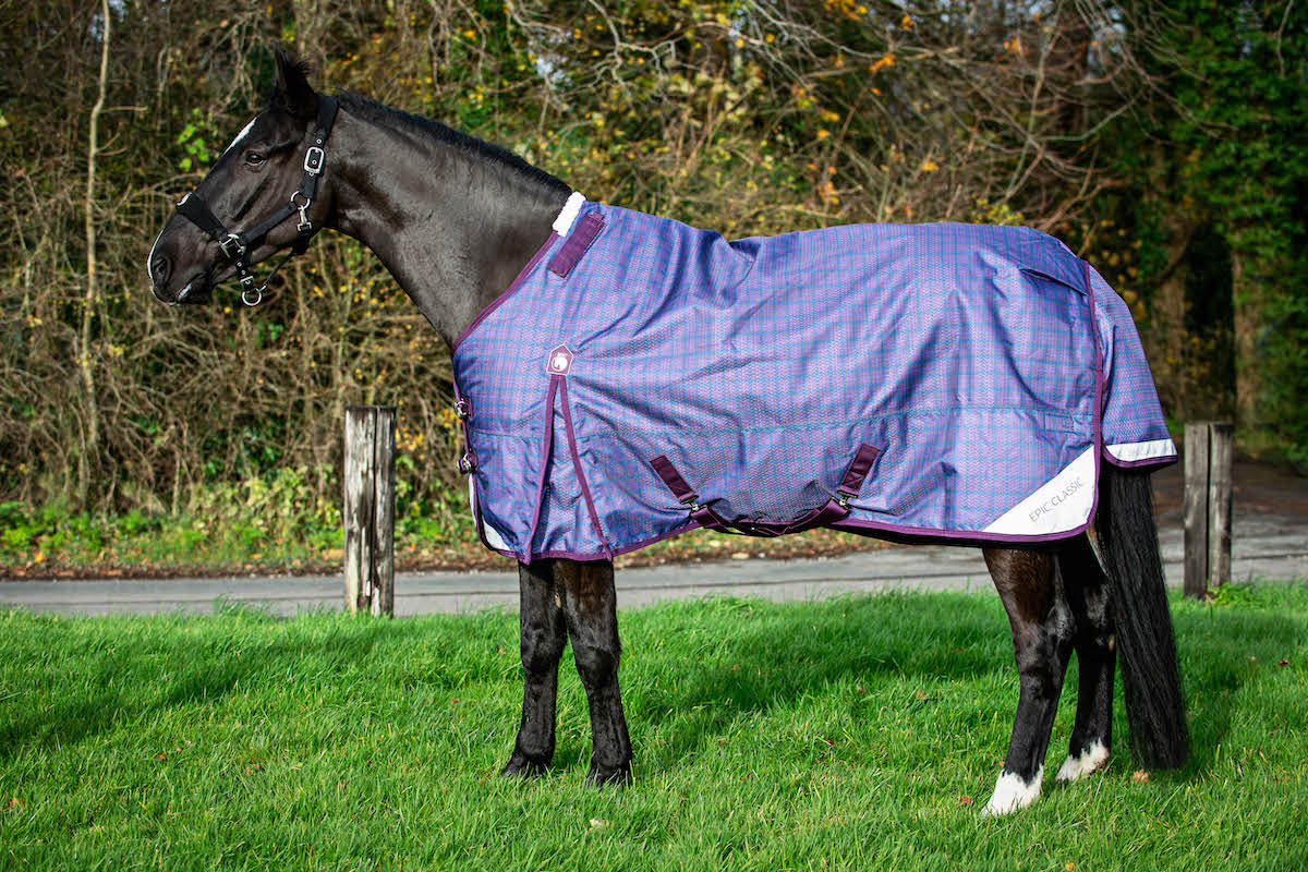 Epic Classic 100g Turnout Rug - Regular Fit