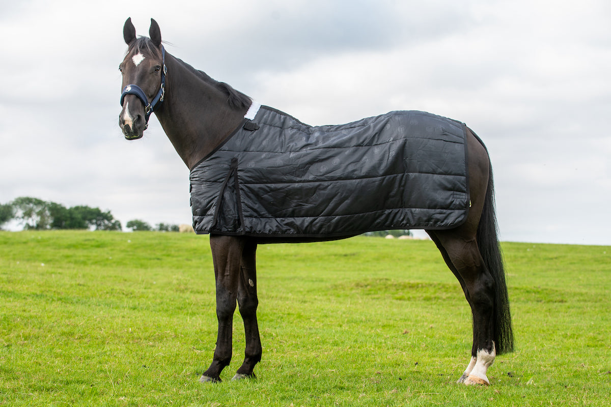 Epic Classic 300g Liner Rug - Regular Fit