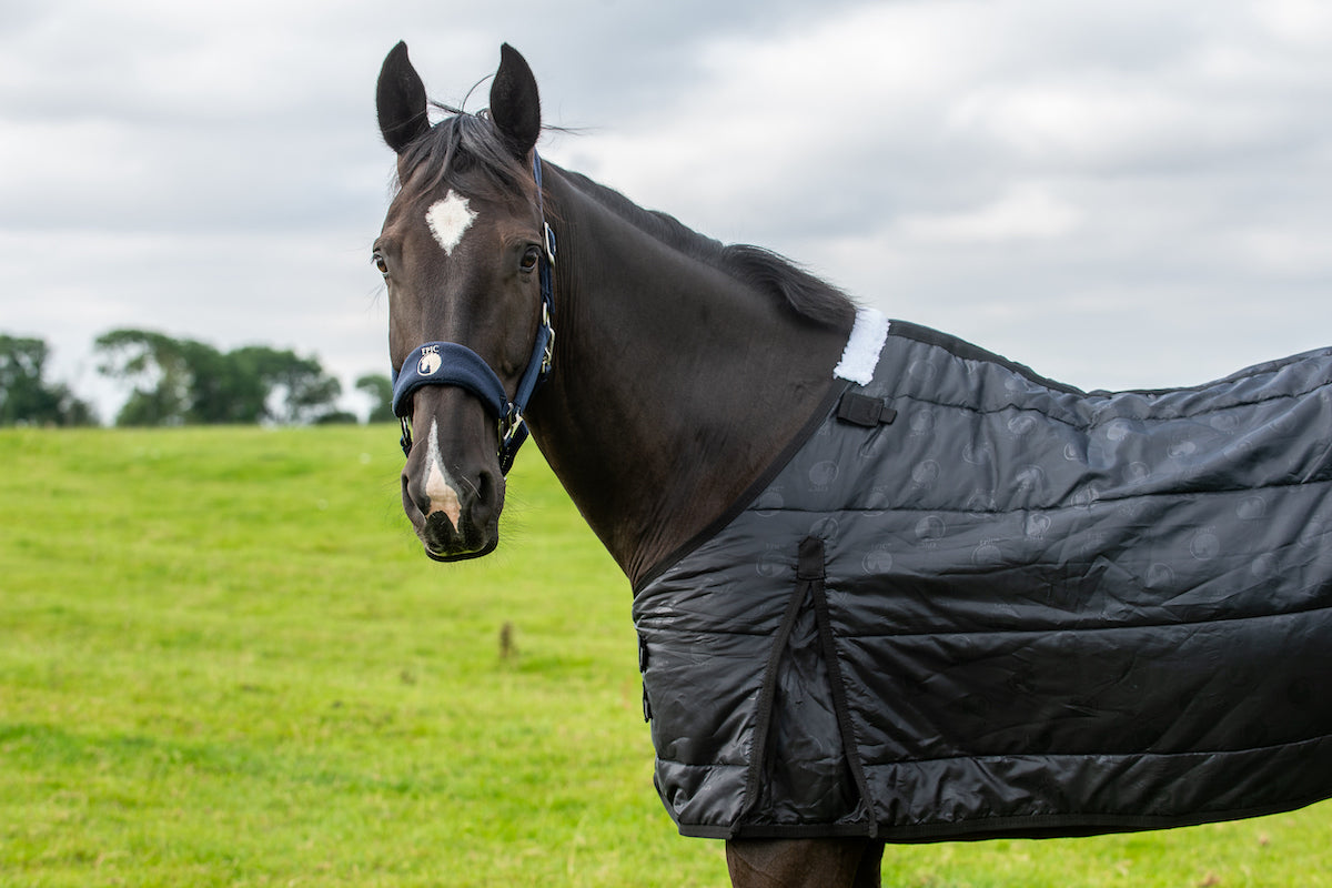 Epic Classic 300g Liner Rug - Regular Fit