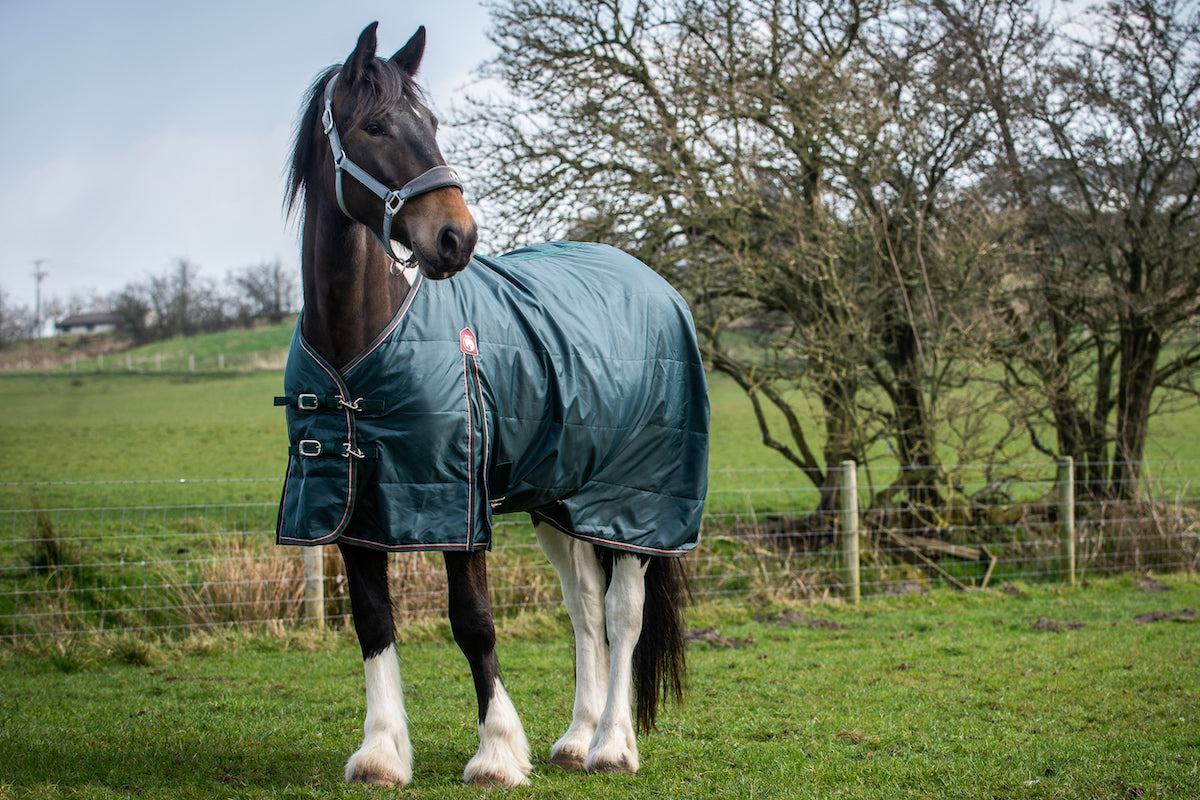 Epic Essential 100g Stable Rug - Regular Fit