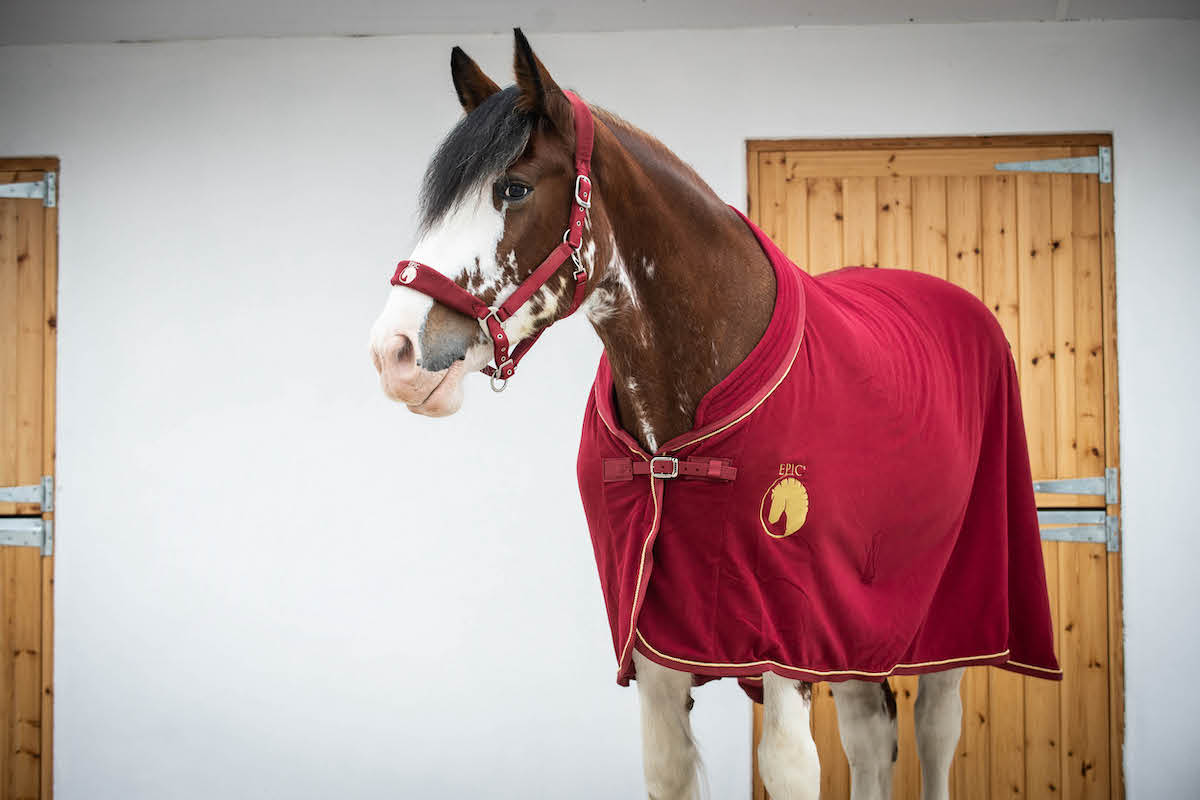Epic Classic Deluxe Show Rug - Broad Fit