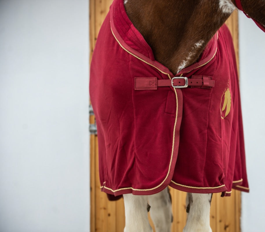 Epic Classic Deluxe Show Rug - Broad Fit - Red