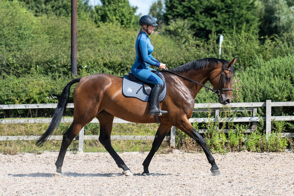 Epic Rider Riding Tights - Full Seat