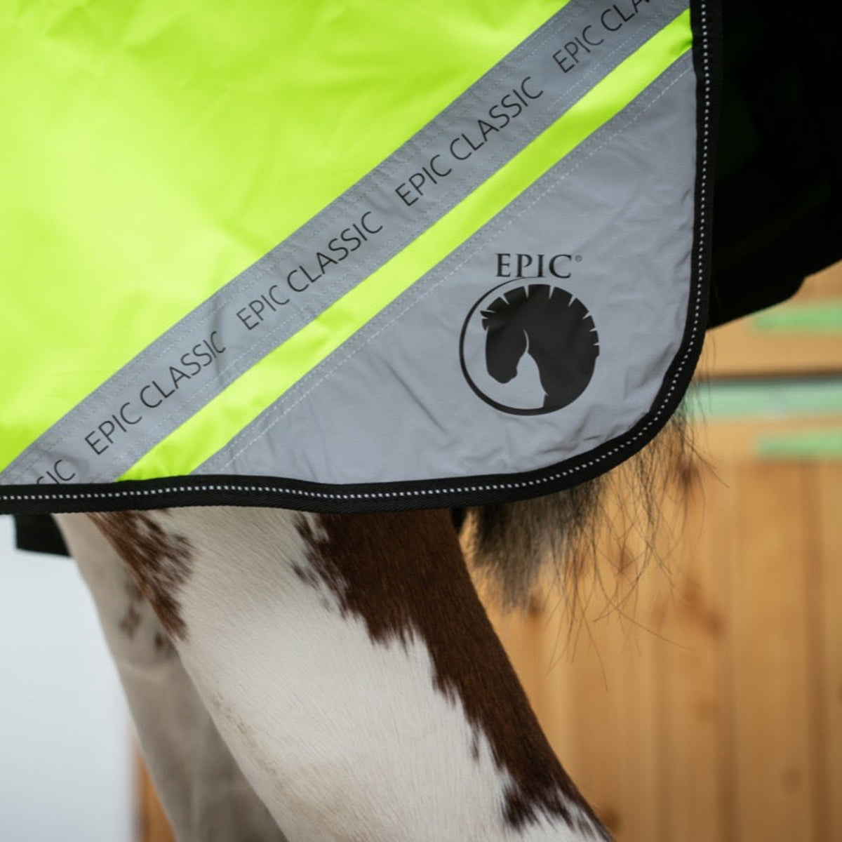Close-up of a horse wearing an EPIC Classic horse blanket, showing the bright neon yellow body panel, reflective gray diagonal stripe with black text, and the horse's brown and white coat underneath.