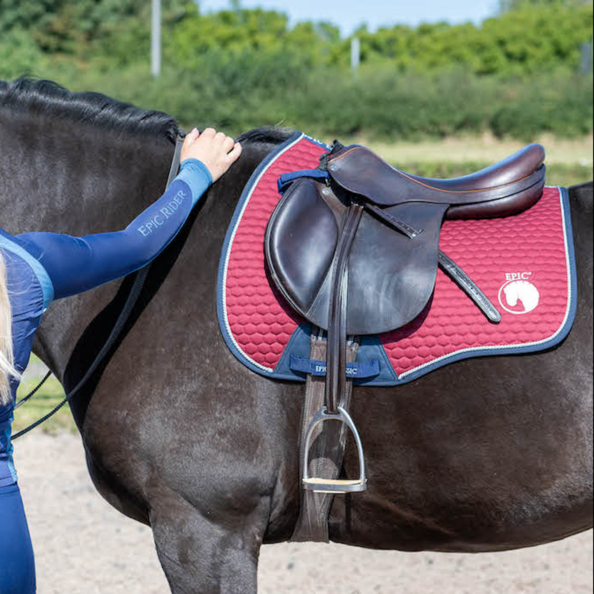 A person adjusting a red and navy general purpose horse saddle pad with a shaped spine on a dark horse.