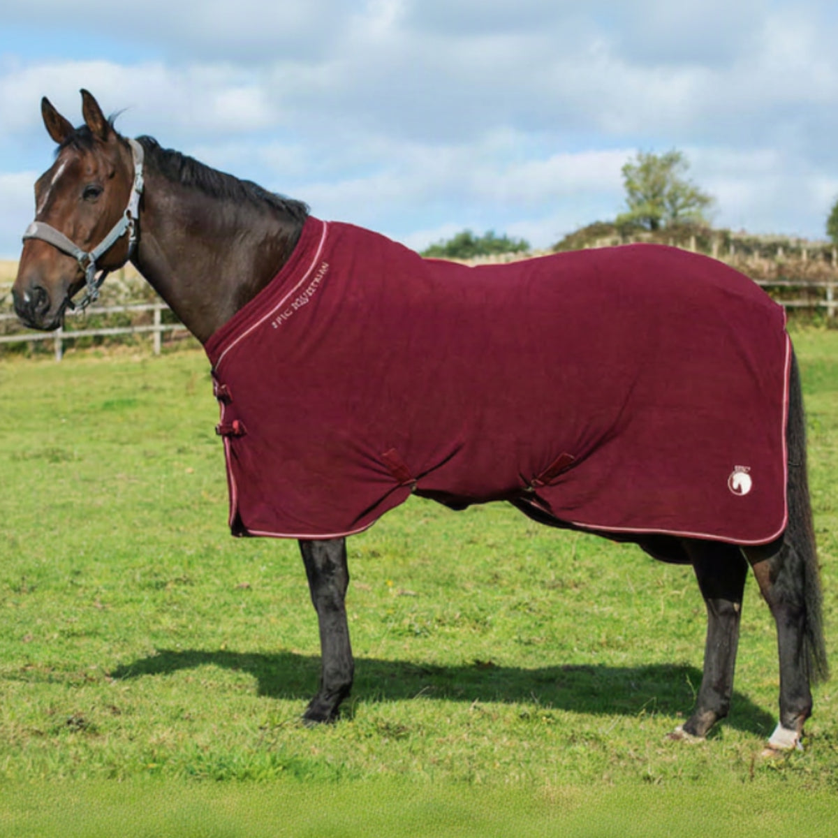 A dark bay horse wearing a red fleece cooler rug with white trim, standing in an outdoor setting.