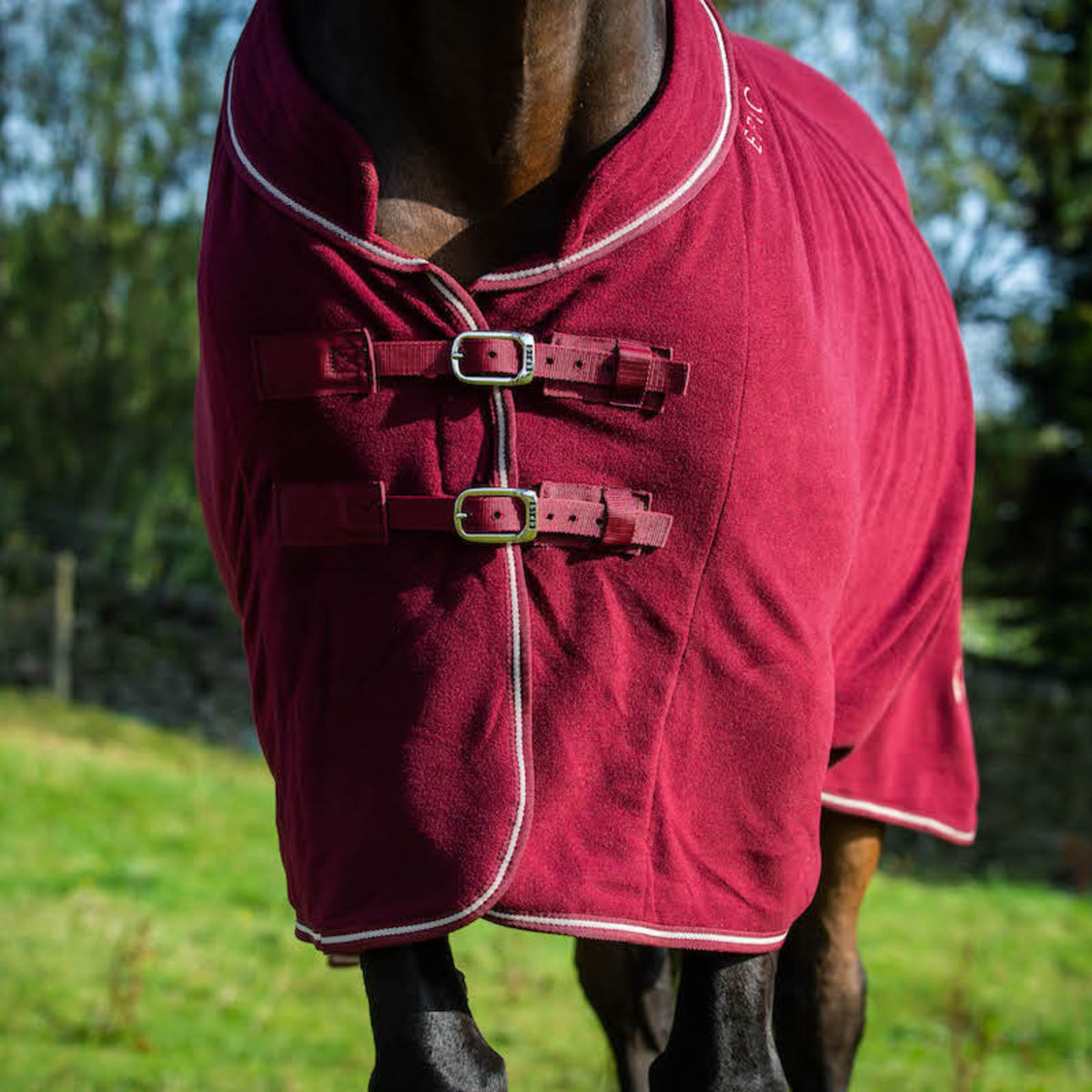 Epic Classic Deluxe Fleece Cooler - Regular Fit - Port