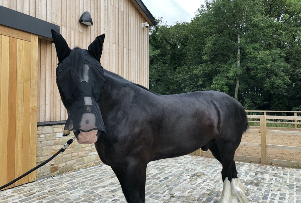 Epic Classic Nylon Fly Mask
