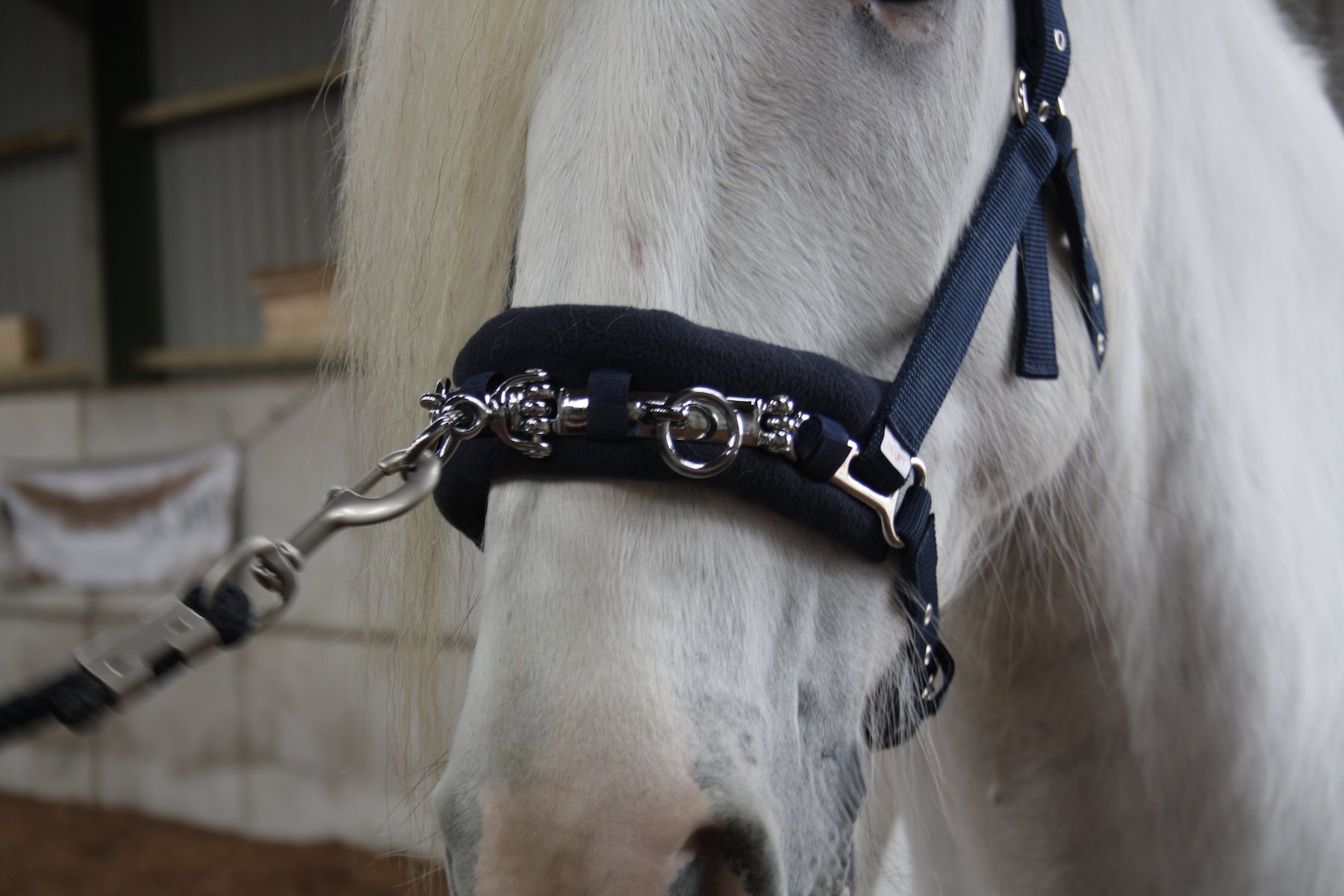 Epic Classic Lunge Cavesson