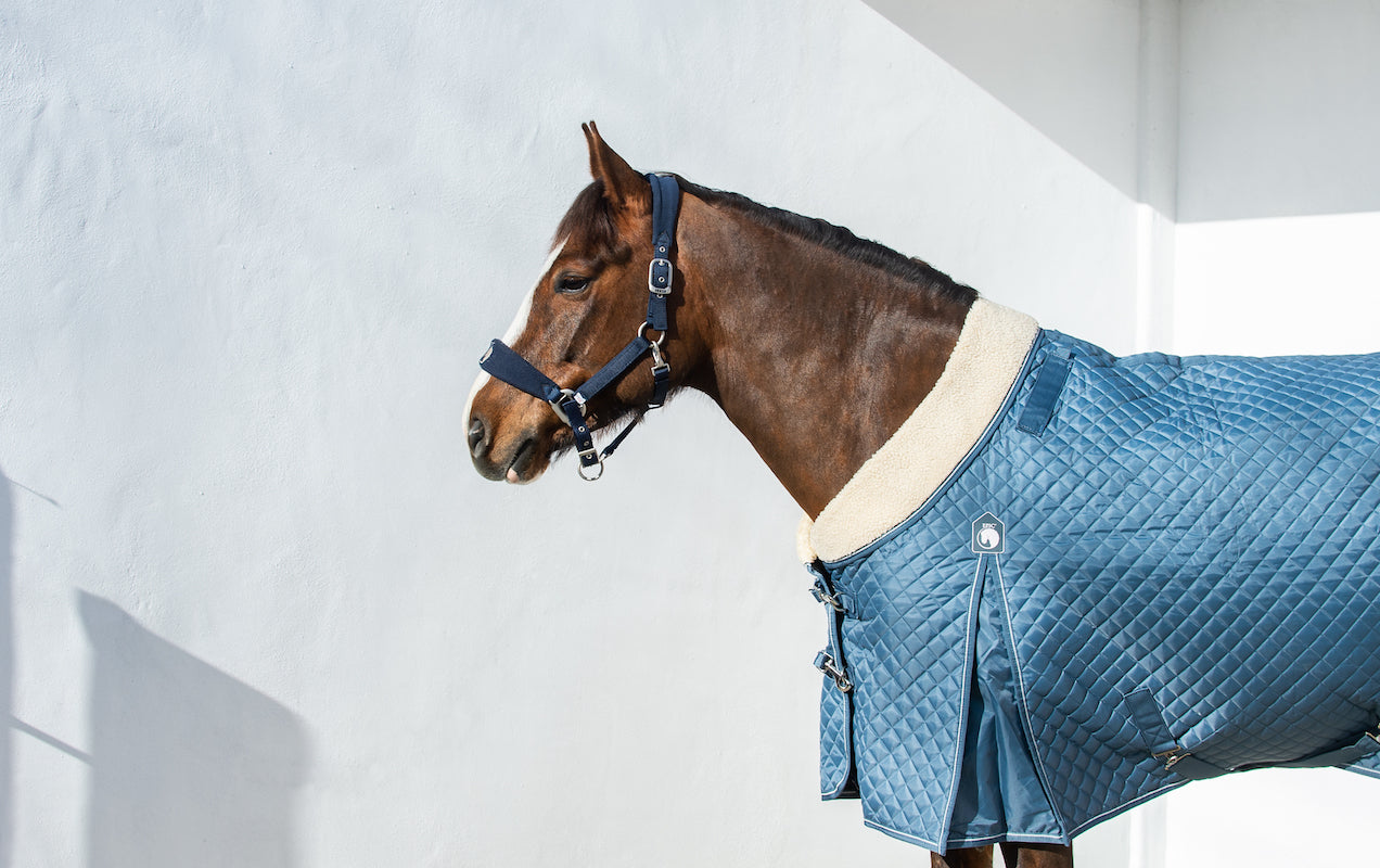 Epic Classic 200g Stable Rug - Regular Fit