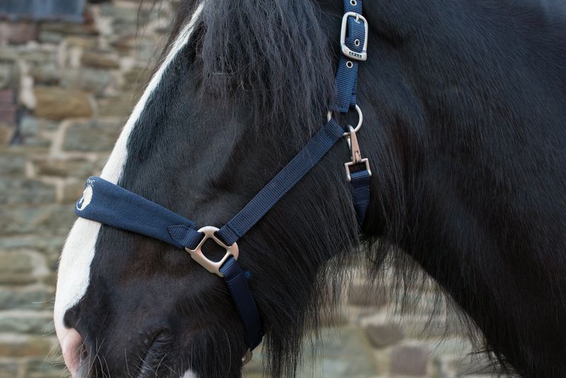 Epic Classic Comfort Fleece Head Collar