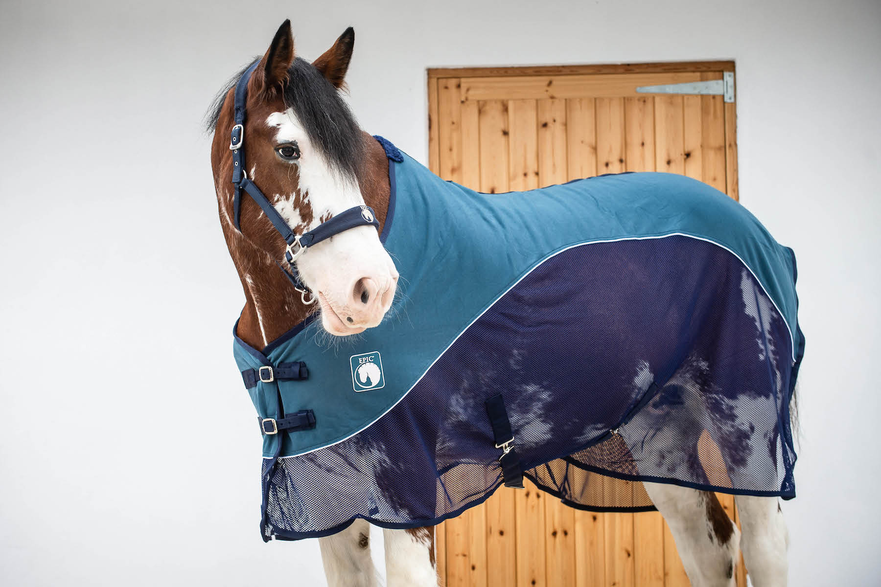 Heavy Horse Cooler Rugs