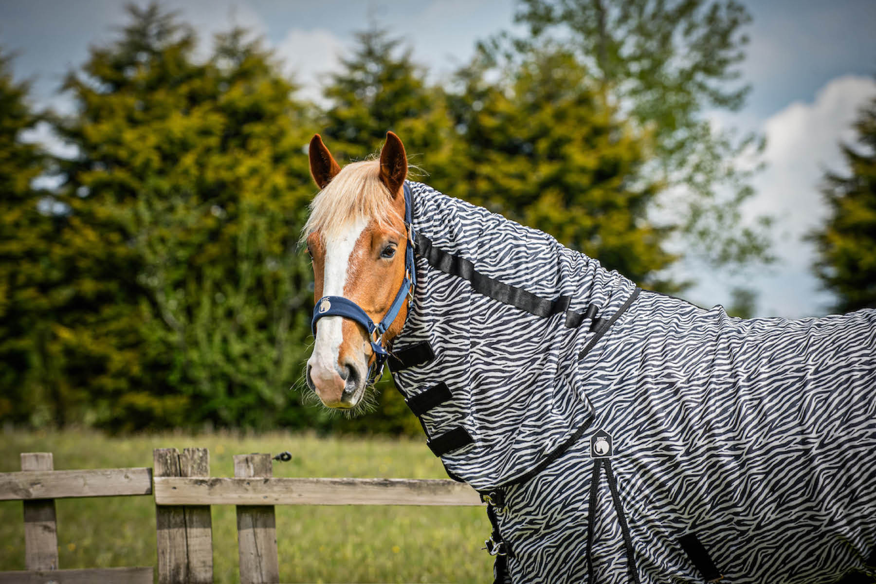 Heavy Horse Fly Rugs