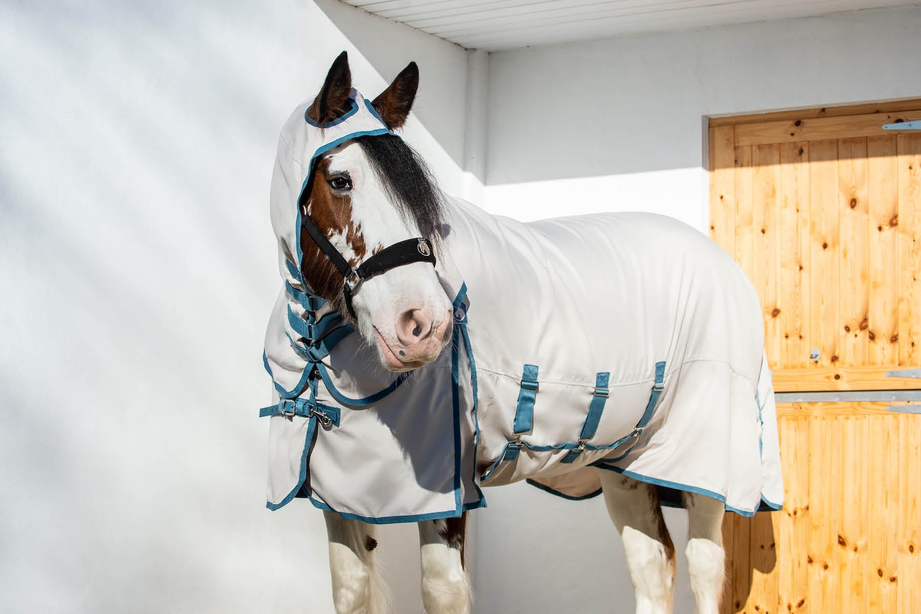 Fly Rugs for Heavy Horses: Sweet Itch Rug