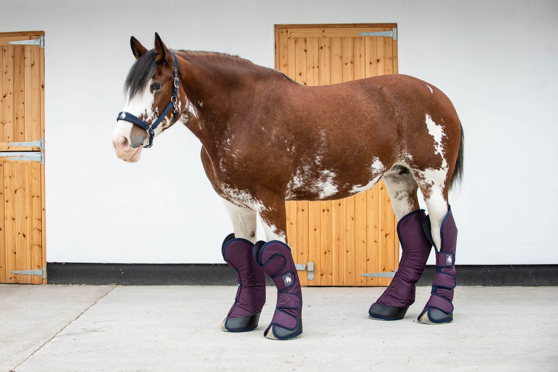 Heavy Horse Travel Boots