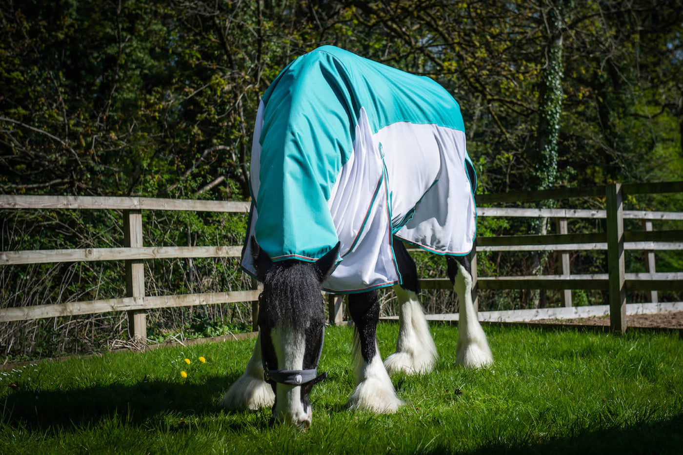 Fly Rugs for Heavy Horses Waterproof Fly Rug