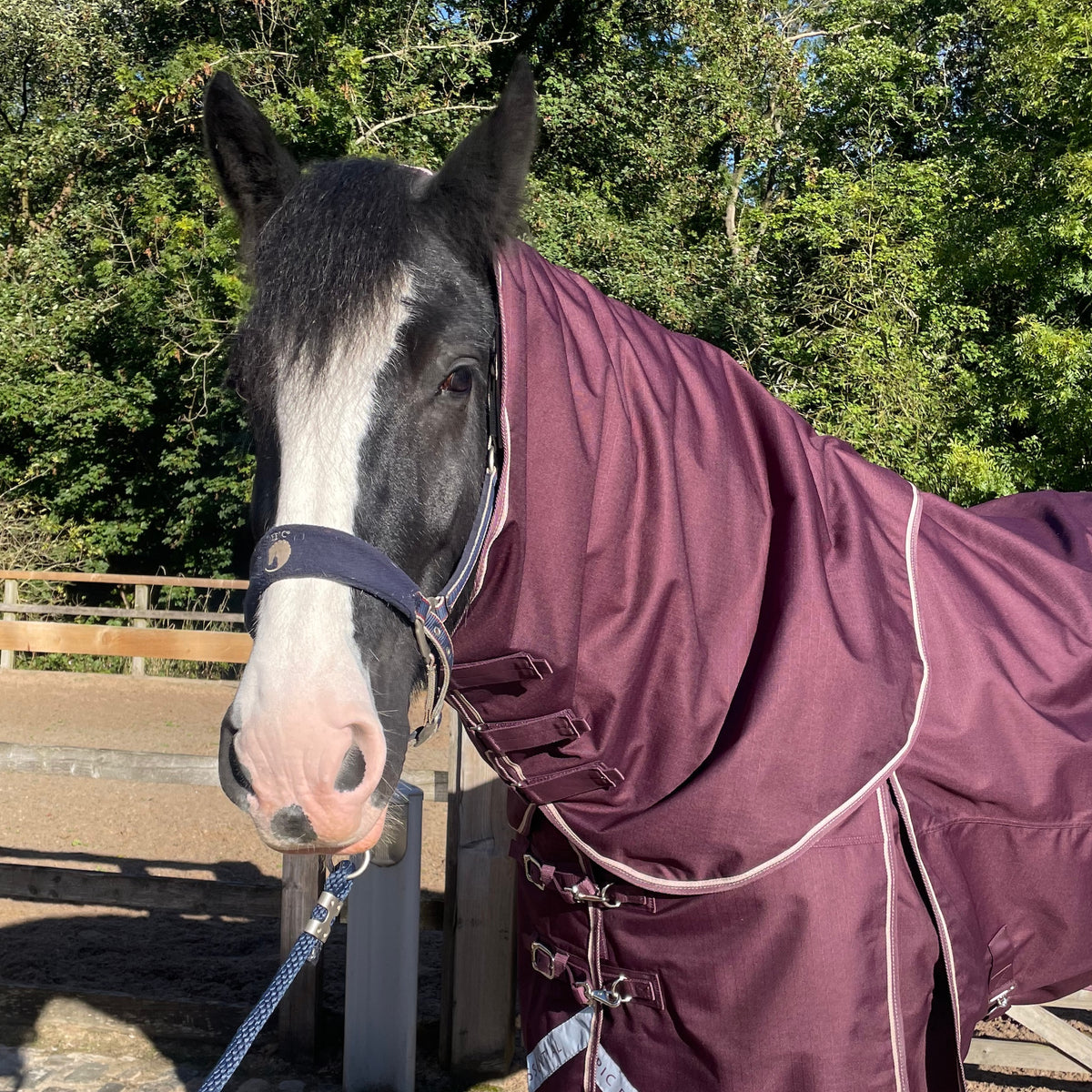 Epic Essential+ 50g Turnout Hood - Broad Fit - Fig