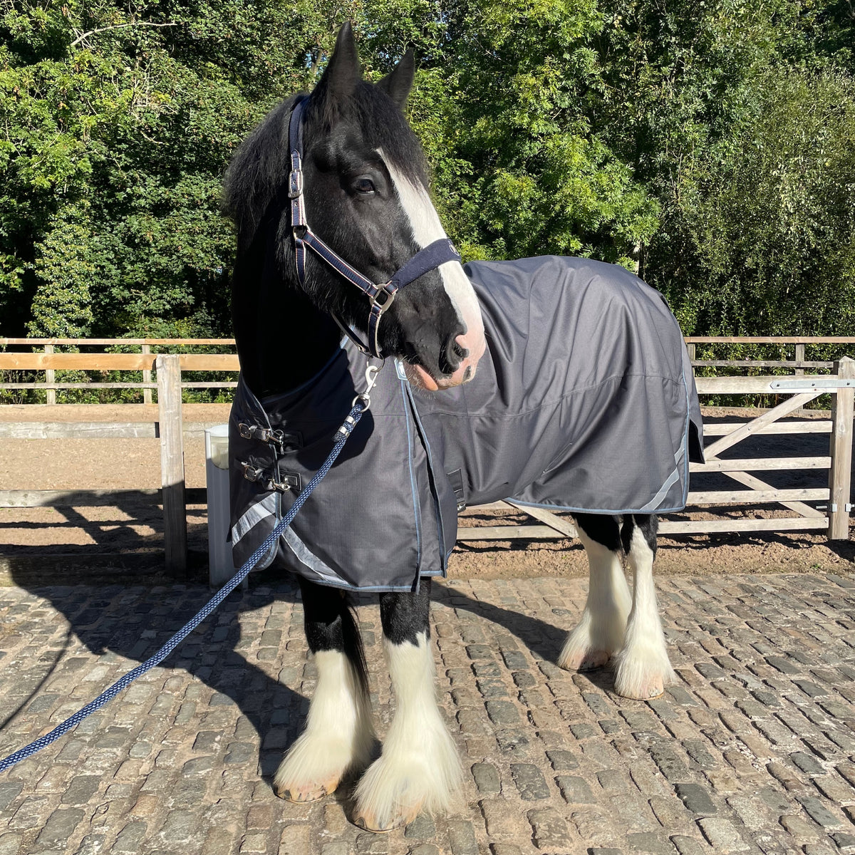 Epic Essential+ No Fill Turnout Rug  -  Broad Fit - Anthracite