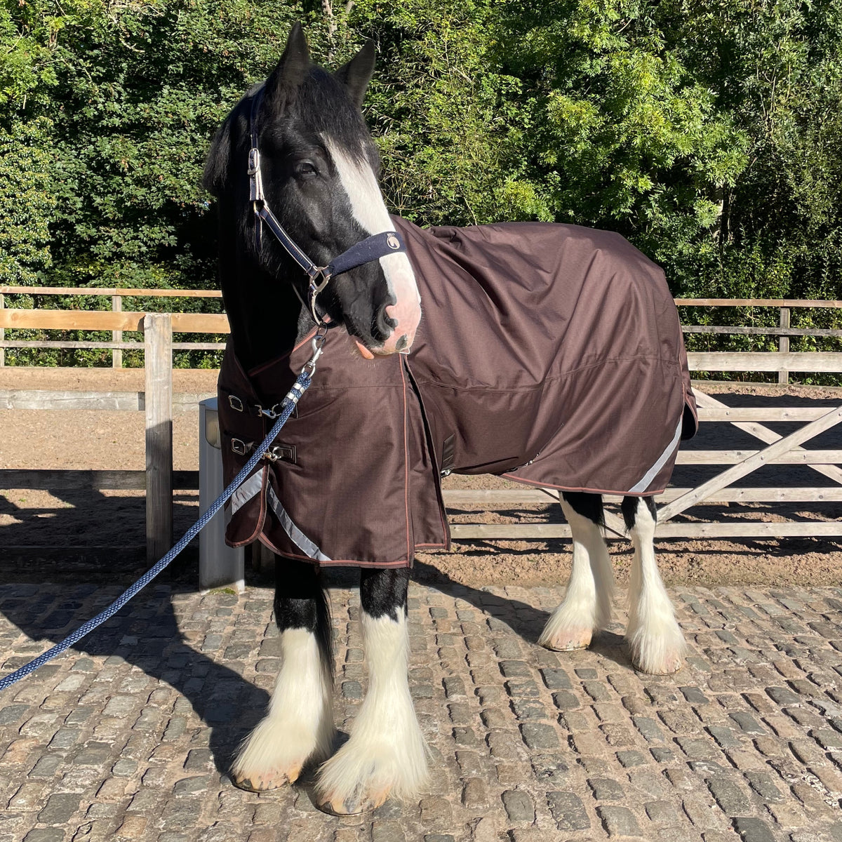Epic Essential+ 100g Turnout Rug  -  Broad Fit - Coffee