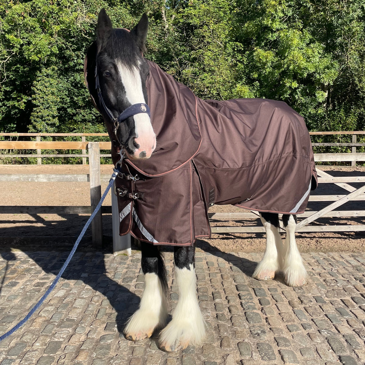 Epic Essential+ 100g Combo Turnout Rug  -  Broad Fit - Coffee