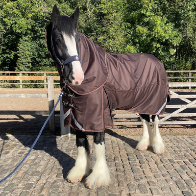 Epic Essential+ 100g Turnout Hood - Broad Fit - Coffee