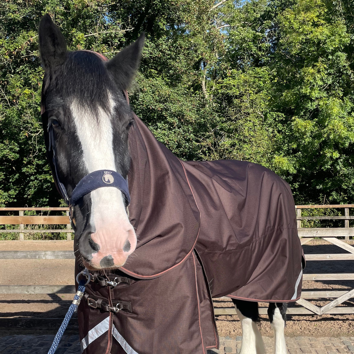 Epic Essential+ 100g Turnout Hood - Broad Fit - Coffee