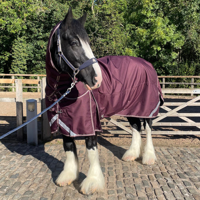Epic Essential+ 50g Turnout Hood - Broad Fit - Fig
