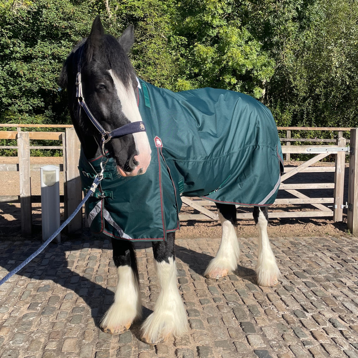 Epic Essential+ 200g Turnout Rug  -  Broad Fit - Sycamore