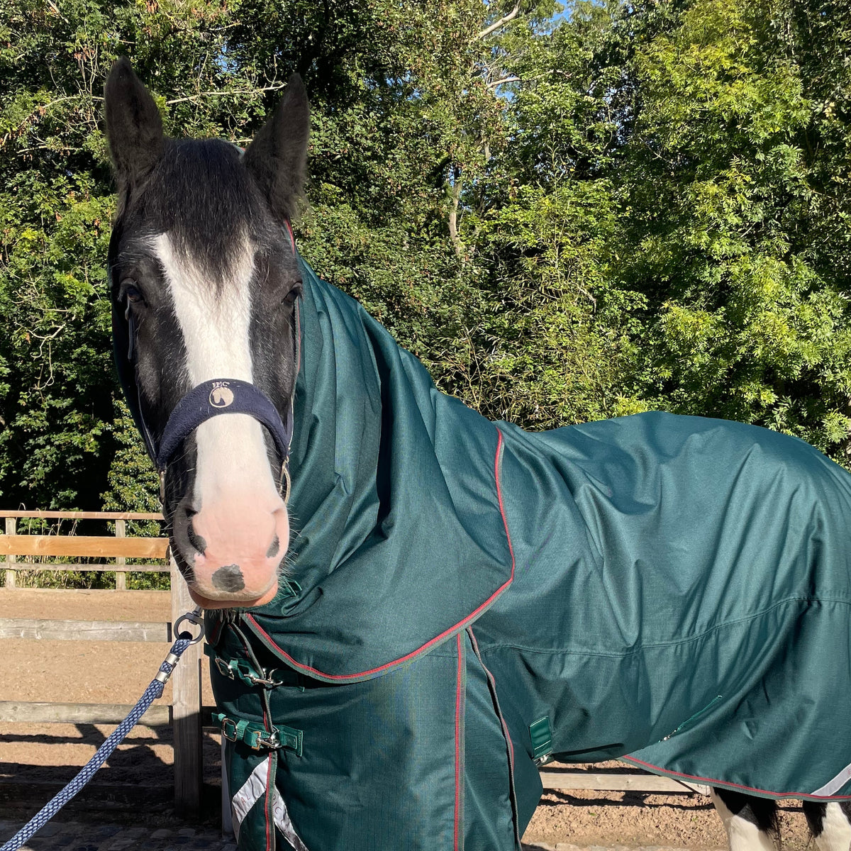 Epic Essential+ 200g Turnout Hood - Broad Fit - Sycamore