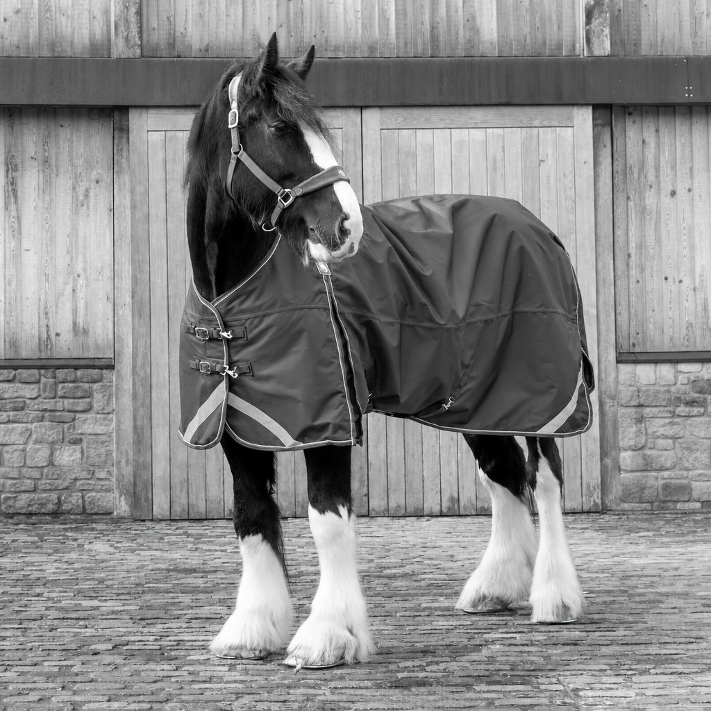 A black and white draft horse wearing a dark green turnout blanket with silver trim, standing in front of a wooden stable door on a cobblestone ground.
