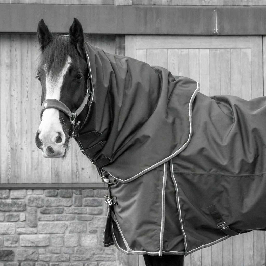 A dark green horse turnout blanket with pink piping trim, shown on a black and white horse in front of a wooden stable door.
