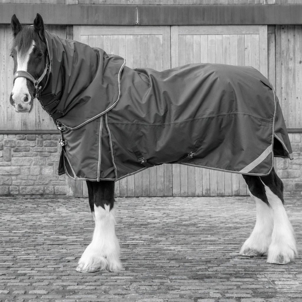 A dark green horse turnout blanket with a matching neck cover is shown on a black and white Clydesdale horse standing in front of a wooden stable door.