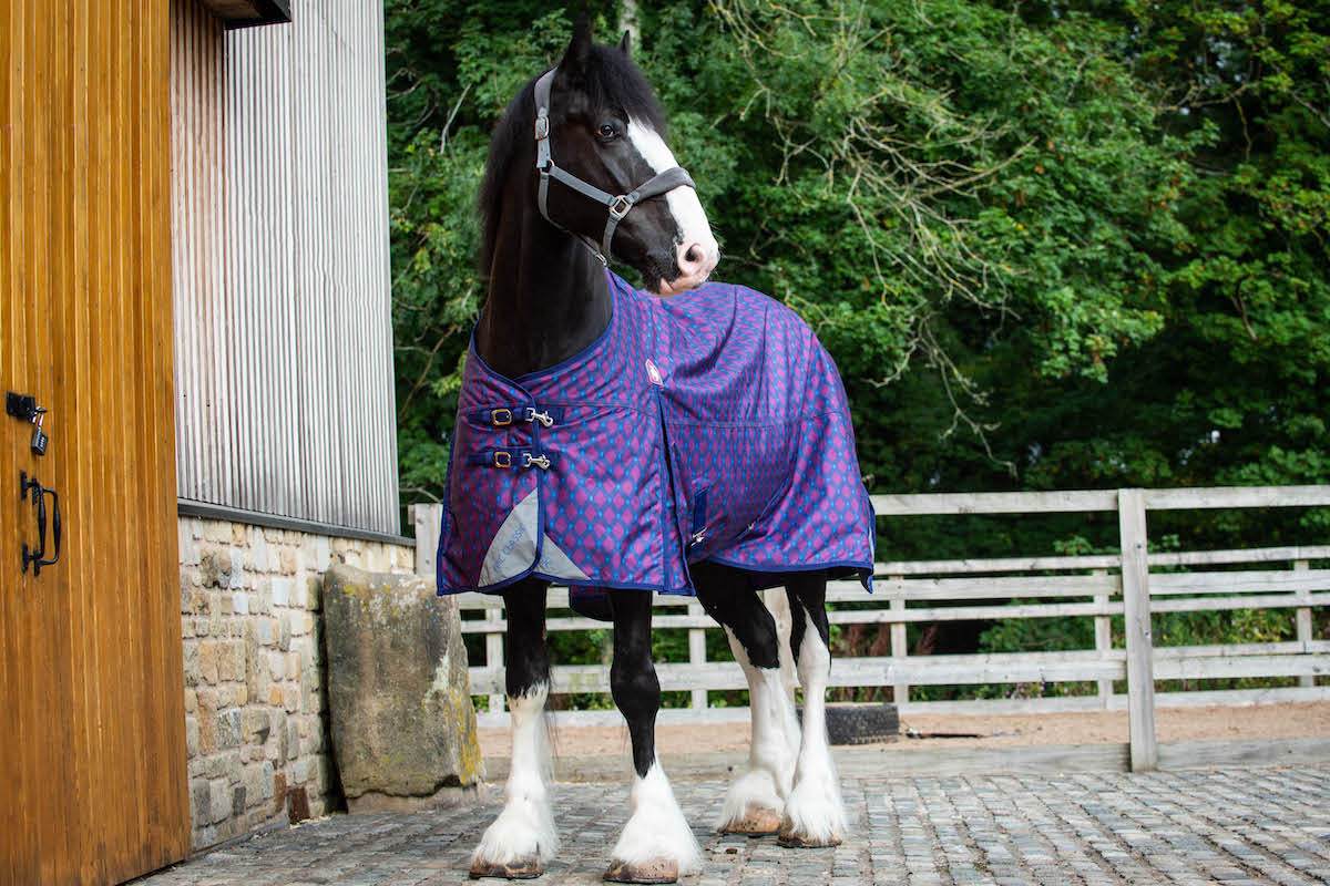 Epic Classic 200g Turnout Rug - Broad Fit