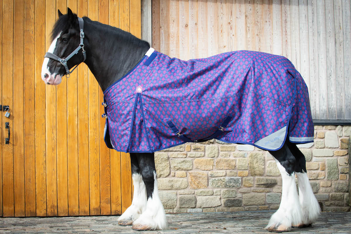 Arriving 3 January - Epic Classic 200g Turnout Rug - Broad Fit