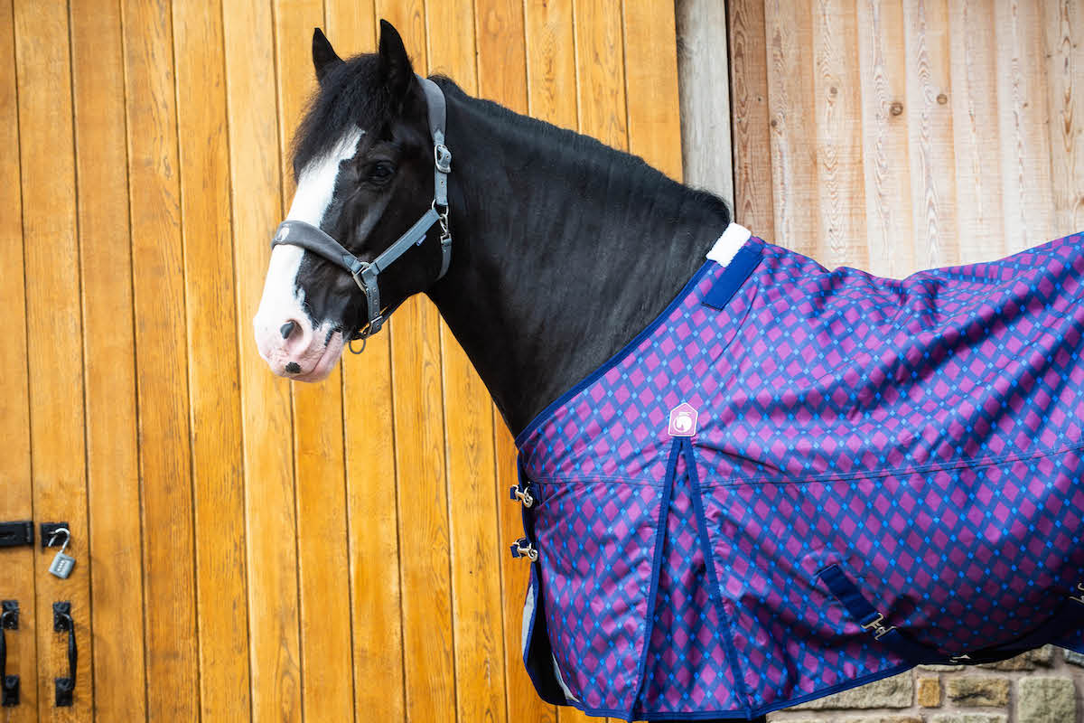 Epic Classic 200g Turnout Rug - Broad Fit