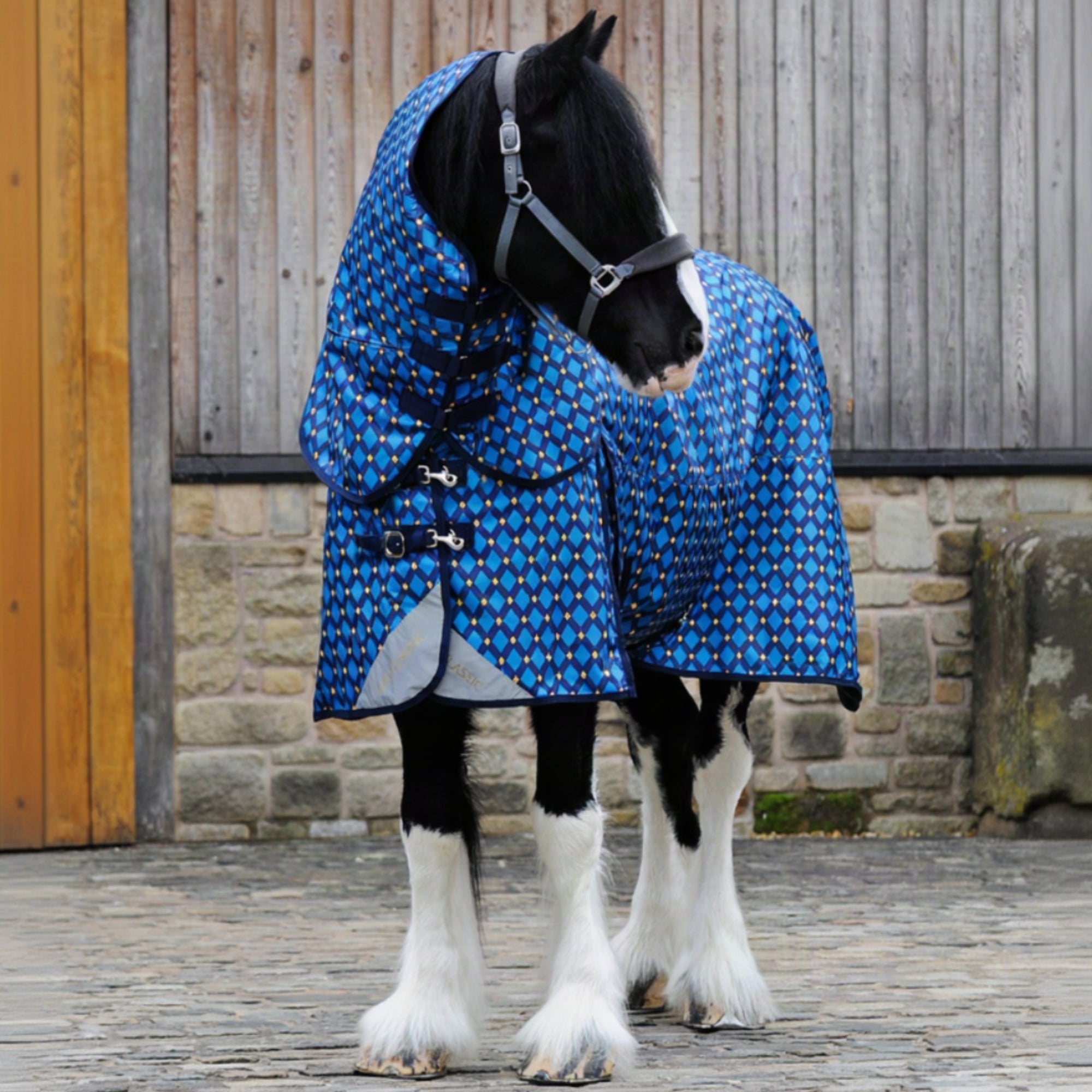 Horse wearing a blue patterned rug standing in front of a wooden building.